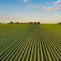 Agricultural Applications
